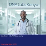16S rRNA Sequencing