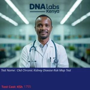 Ckd Chronic Kidney Disease Risk Map Test