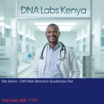 CMV RNA Detection Qualitative Test