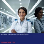 Dengue Fever IgM Antibody Test