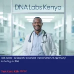 Eukaryotic Stranded Transcriptome Sequencing Including lncRNA