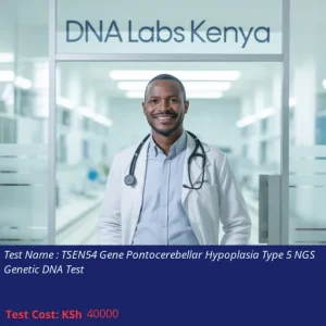 TSEN54 Gene Pontocerebellar Hypoplasia Type 5 NGS Genetic DNA Test
