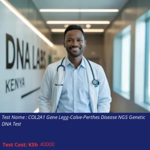 COL2A1 Gene Legg-Calve-Perthes Disease NGS Genetic DNA Test