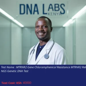 MTRNR2 Gene Chloramphenicol Resistance MTRNR2 Related NGS Genetic DNA Test