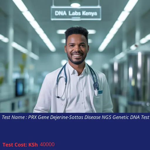 PRX Gene Dejerine-Sottas Disease NGS Genetic DNA Test