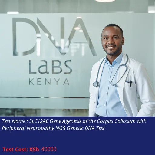 SLC12A6 Gene Agenesis of the Corpus Callosum with Peripheral Neuropathy NGS Genetic DNA Test