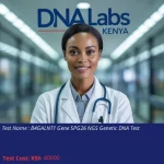 B4GALNT1 Gene SPG26 NGS Genetic DNA Test