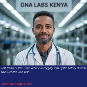 CRB2 Gene Ventriculomegaly with Cystic Kidney Disease NGS Genetic DNA Test