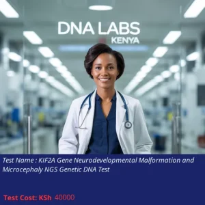 KIF2A Gene Neurodevelopmental Malformation and Microcephaly NGS Genetic DNA Test
