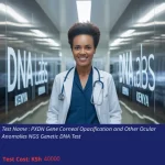 PXDN Gene Corneal Opacification and Other Ocular Anomalies NGS Genetic DNA Test