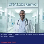 SMARCE1 Gene Coffin-Siris Syndrome SMARCE1 Related NGS Genetic DNA Test