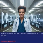 WDR27 Gene WDR27-Related Brain Disorders NGS Genetic DNA Test
