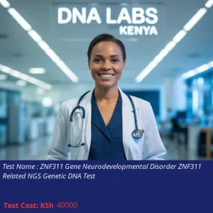 ZNF311 Gene Neurodevelopmental Disorder ZNF311 Related NGS Genetic DNA Test